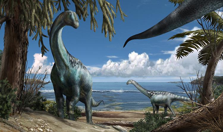 E' stato scoperto "Tito", il primo dinosauro sauropode italiano