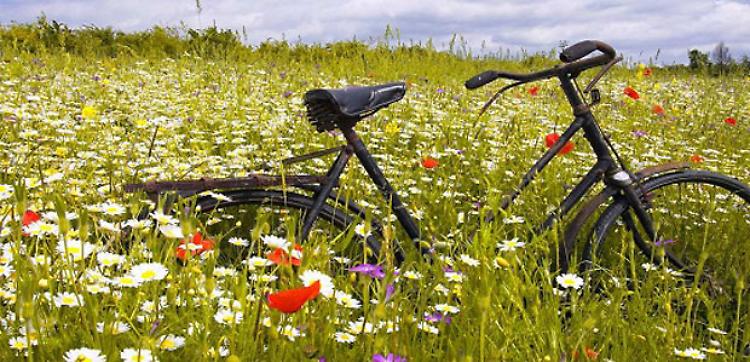 Slow Food va in bicicletta