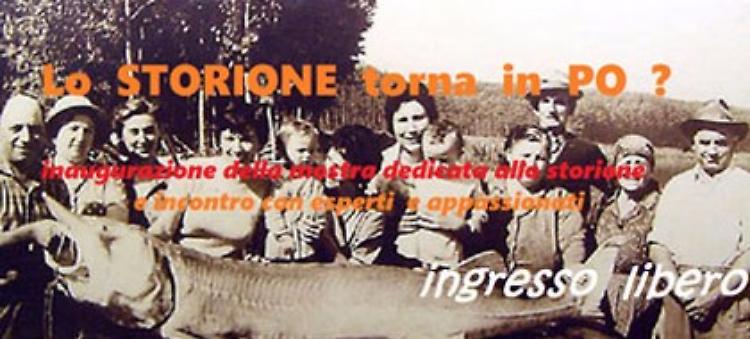Polesine Parmense - "Lo storione torna in Po?"