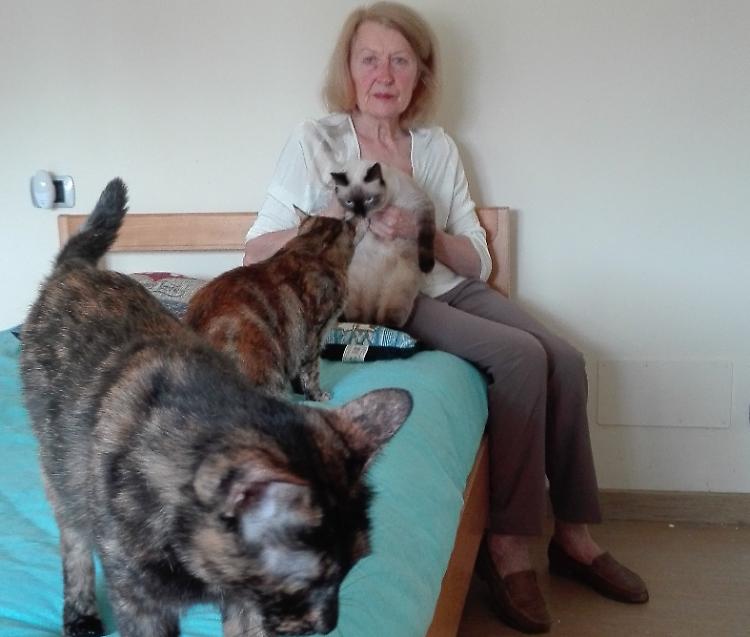 Mirella: 'La mia vita con i gatti, per loro spendo tutto'