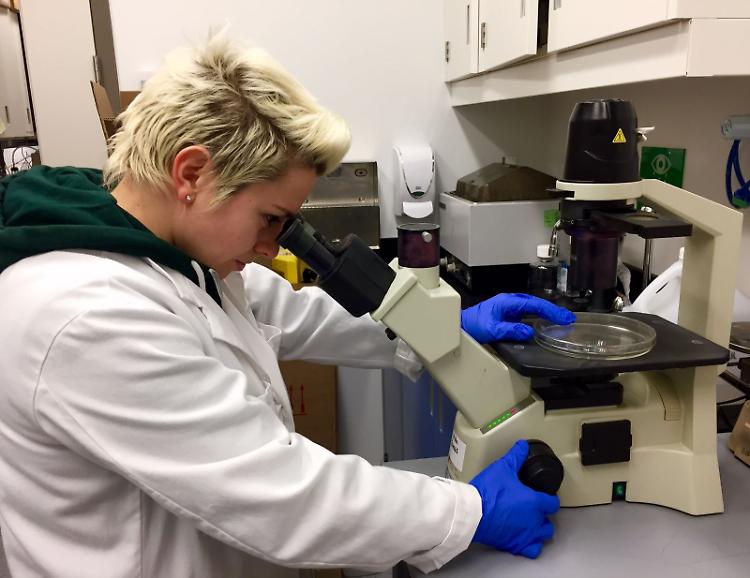 Tumori al cervello, Cristiana Spinelli in Canada per studiare una cura