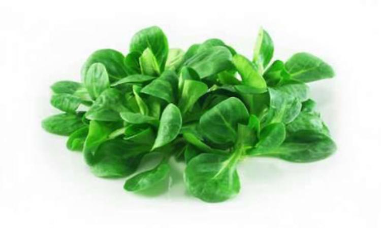 LA RICETTAGnocchetti di patate al pesto di valerianella