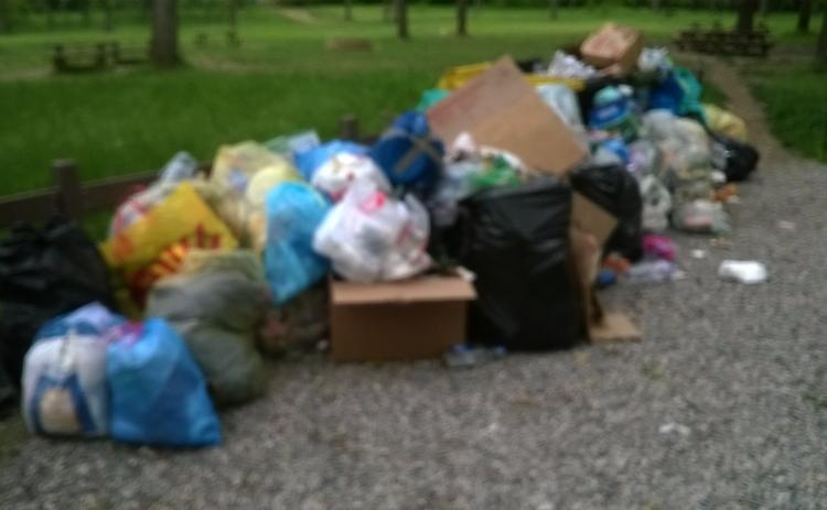 Area pic nic lungo il Serio, week-end di rifiuti e devastazioni