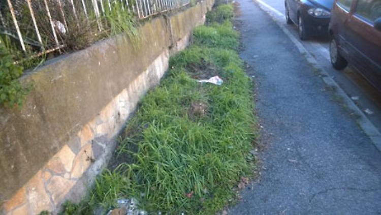 Quei marciapiedi e arredi pubblici invasi da erbacce