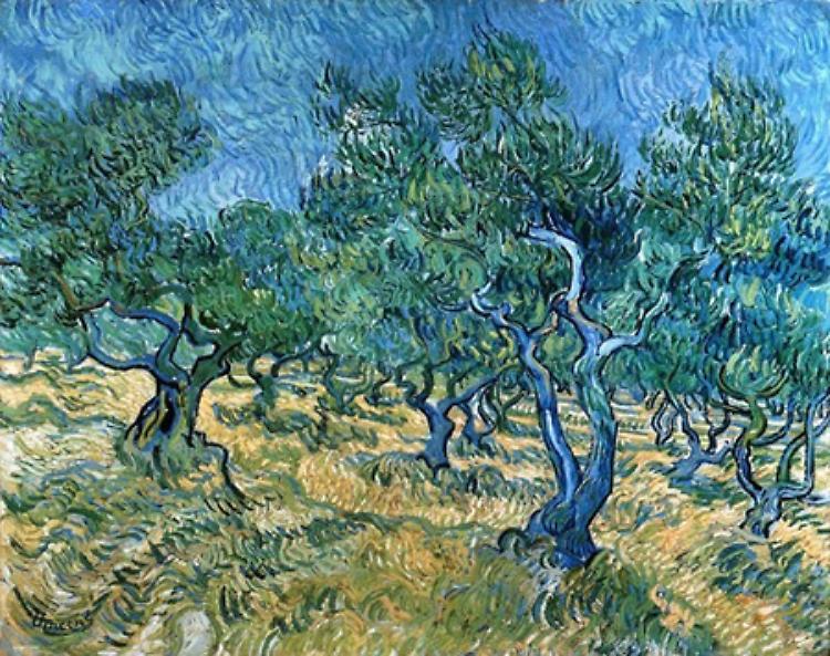 La Camminata tra gli olivi - Promossa dalle Città dell’Olio