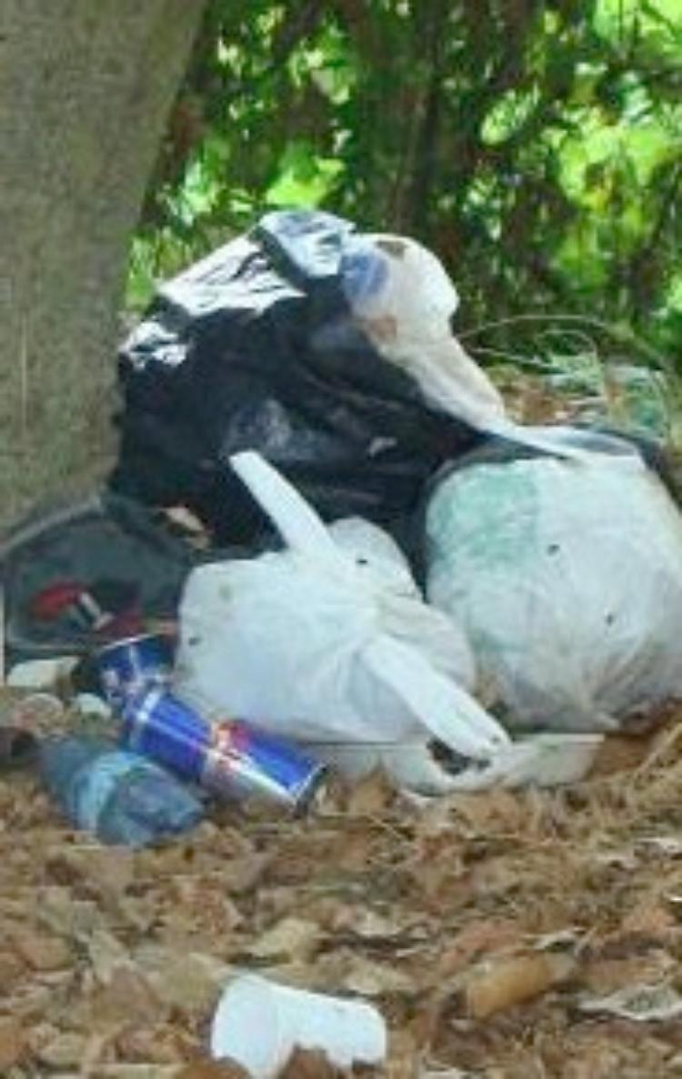 'Fototrapole', con il primo scatto multa da 600 euro