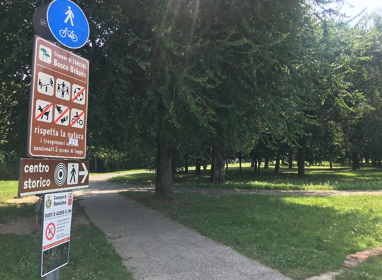 Vandali in azione, la maxi mostra nel mirino