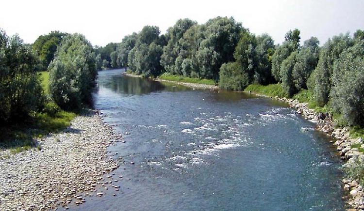 Oglio invaso dai siluri, caccia al superpredatore