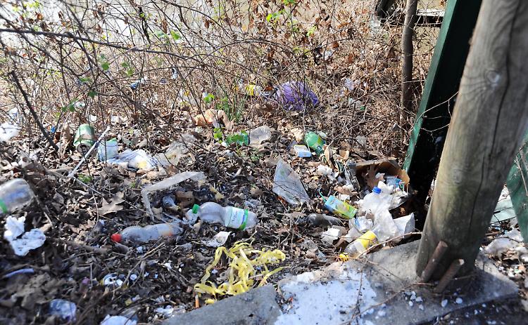 Cresmiero, via i rovi e i rifiuti: rinasce il canale cittadino