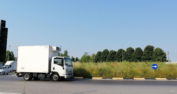 Una giungla nella rotonda, intesa Comune-Provincia