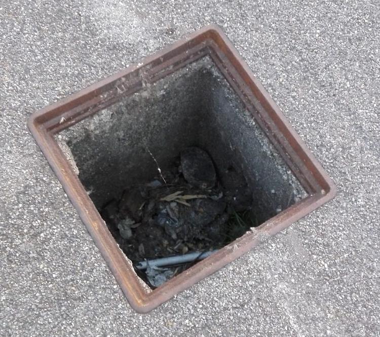 Orzinuovi, ladri in azione. Rubati tombini in ghisa