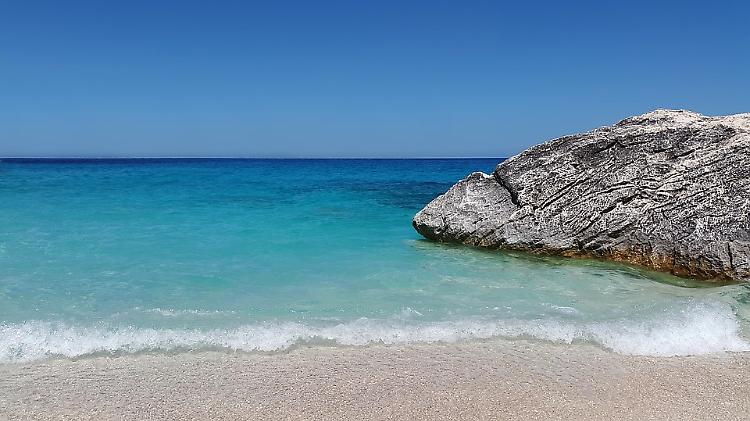 Ondate di calore nel Mediterraneo profondo, a rischio le specie marine