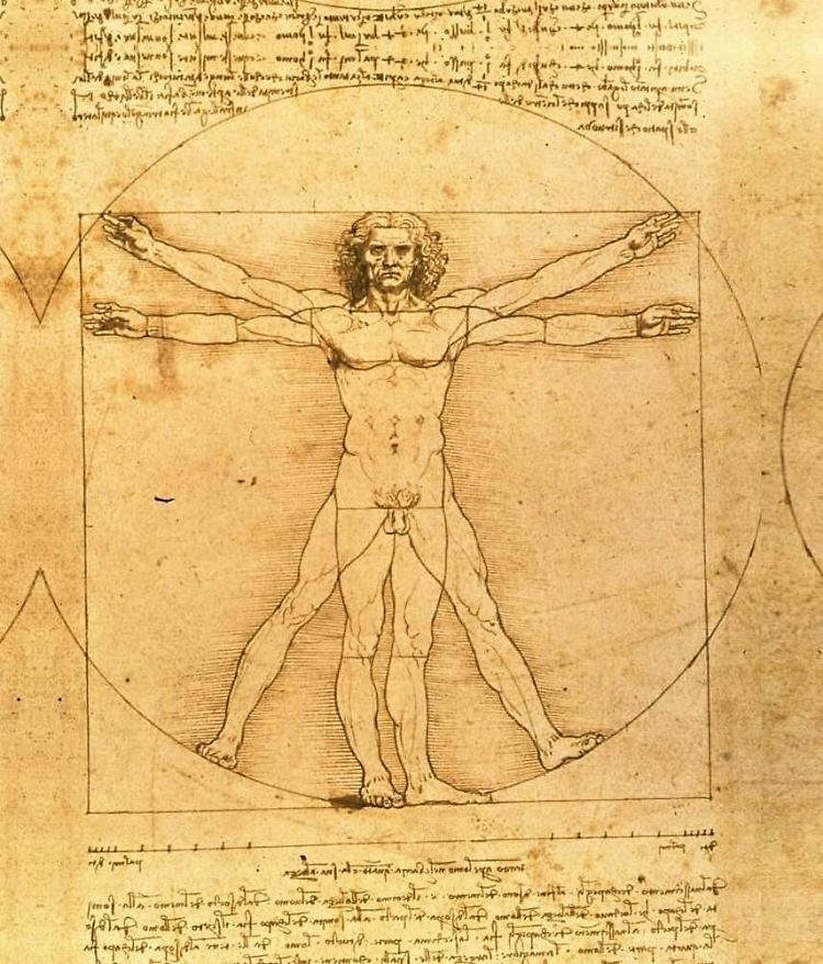 Uomo Vitruviano a Parigi per due mesi