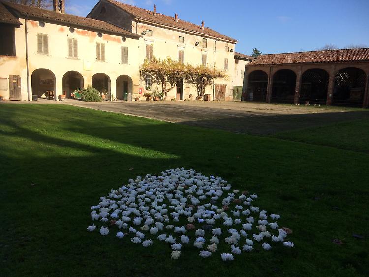 Museo del Cambonino