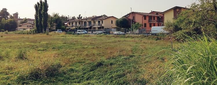 Nasce il Bosco del tempo: mille piante contro lo smog