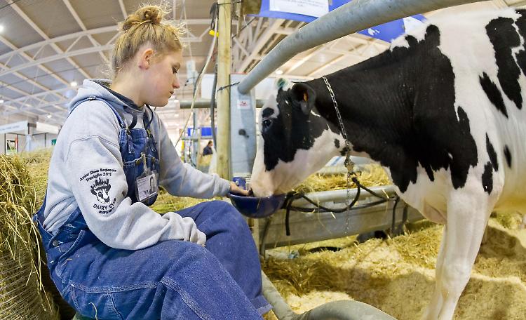 Fiera del bovino a dicembre  nella capitale della zootecnia