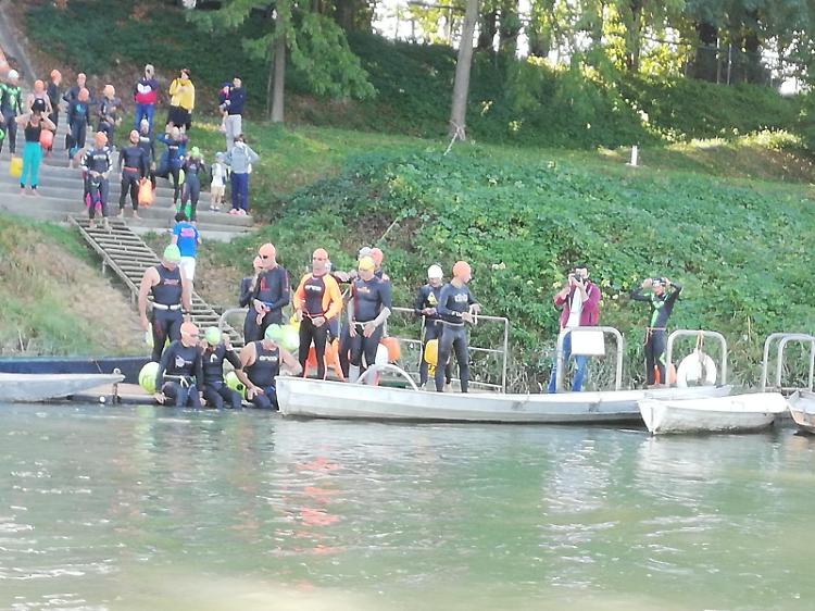 FOTO Tuffo e nuotata nel Po per i cento anni della canottieri Ongina