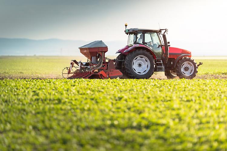 Agricoltura, Beduschi: con il PSR impegnati 1,5 miliardi, 99% delle risorse disponibili