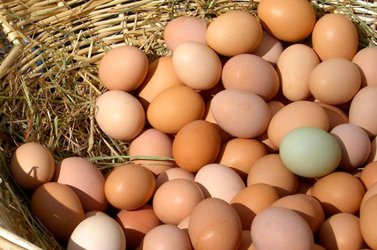 Pasqua 2021, Confagricoltura: “Premiate le uova vere”