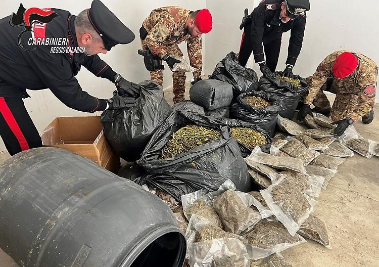 Pi&ugrave; di 30 kg di marijuana nascosti in casa nella Locride, un arresto