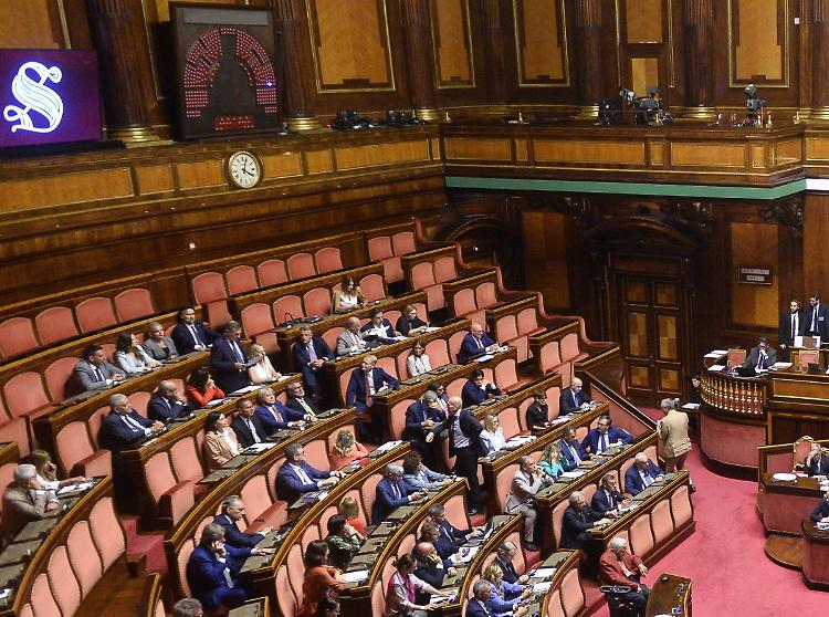 Ddl femminicidio, il Senato approva il testo all'unanimit&agrave;