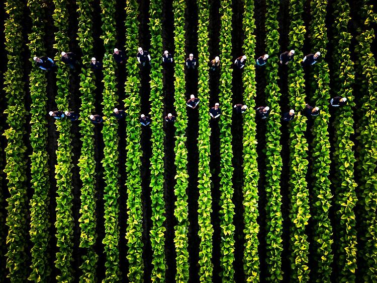 A Perugia la seconda tappa del roadshow di Coldiretti e Philip Morris