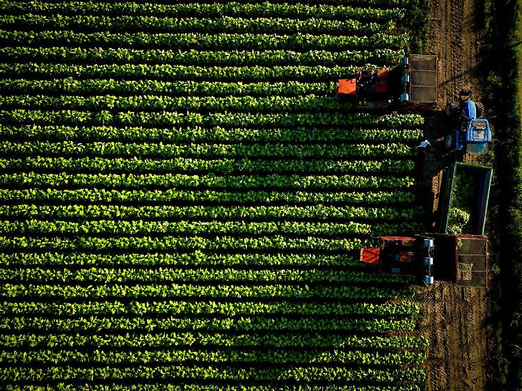 A Verona l'ultima tappa del roadshow Coldiretti-Philip Morris