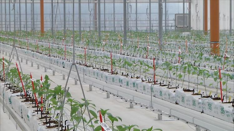 Bayer apre le porte all'innovazione, nuove serre hi-tech a Latina