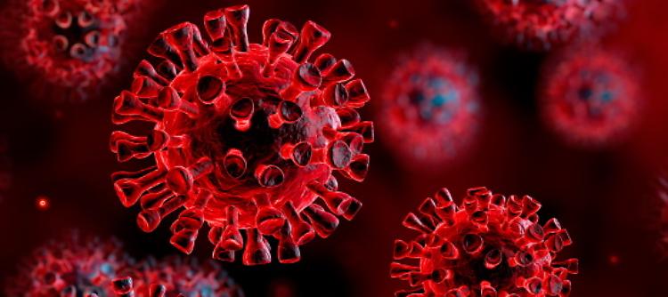 Variante Delta: "Nessuno dei casi accertati ha completato il ciclo vaccinale"