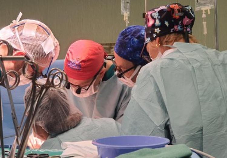 Rene trapiantato sul pancreas, salvato un bimbo a Torino