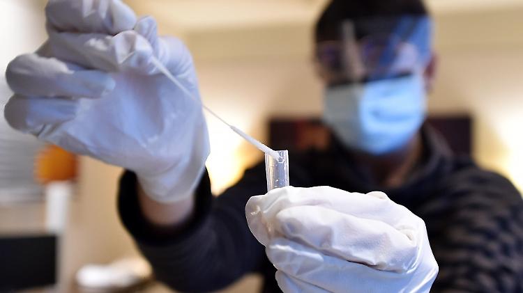 In provincia di Cremona 11 nuovi positivi