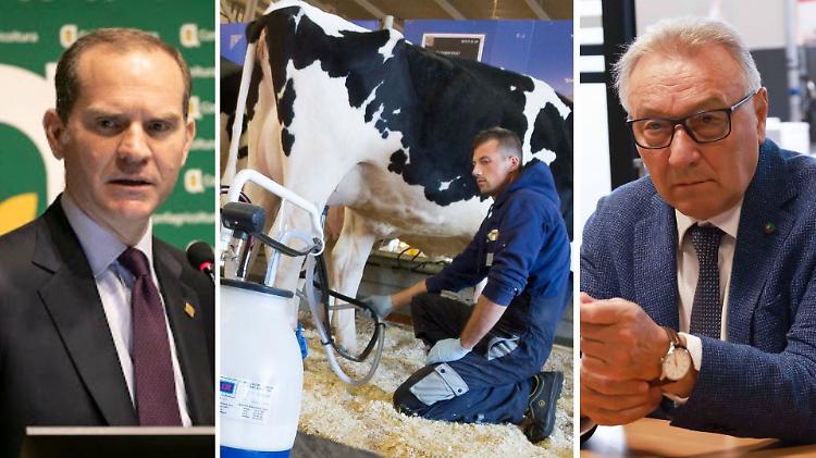 Prezzo del latte, intesa a un passo: Confagricoltura soddisfatta