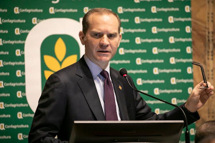 Istat, Confagricoltura: bene il Pil, ma preoccupano le prospettive per il 2022