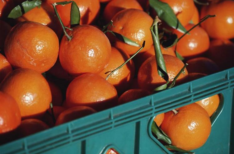 Le clementine anti violenza con Confagricoltura Donna e Soroptimist International