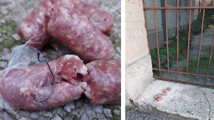 Bocconi trappola: grossi ami nei pezzi di salsiccia
