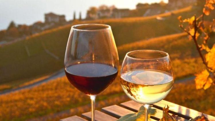 Vino: Agrinsieme a Patuanelli, difendere il settore in Ue
