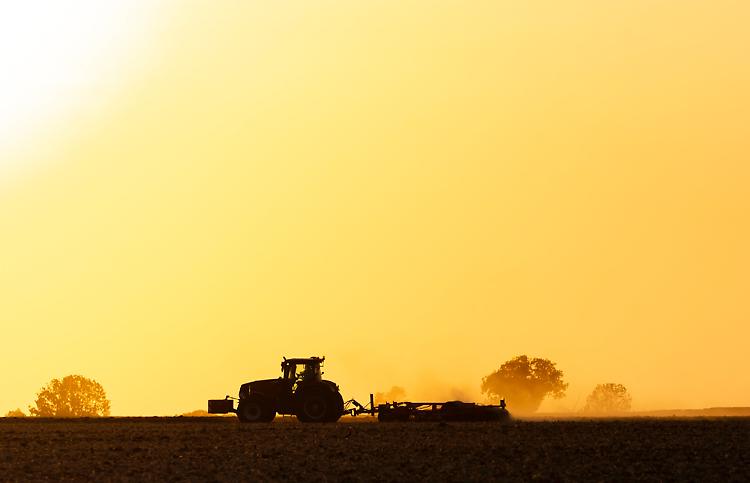Arriva la Farmer's Sunday! L'evento dal mondo dei Trattori!