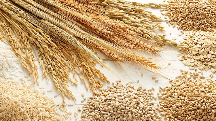 Grano, mais e soia. Giansanti: "Quotazioni ancora in aumento"