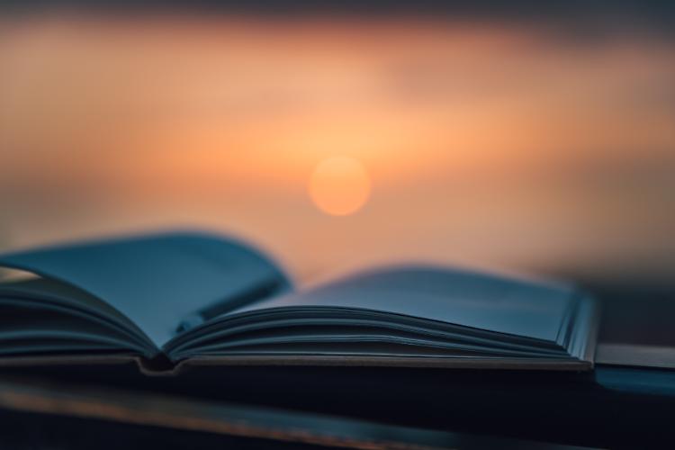 Presentazione del libro di poesie "Nella gabbia dorata"