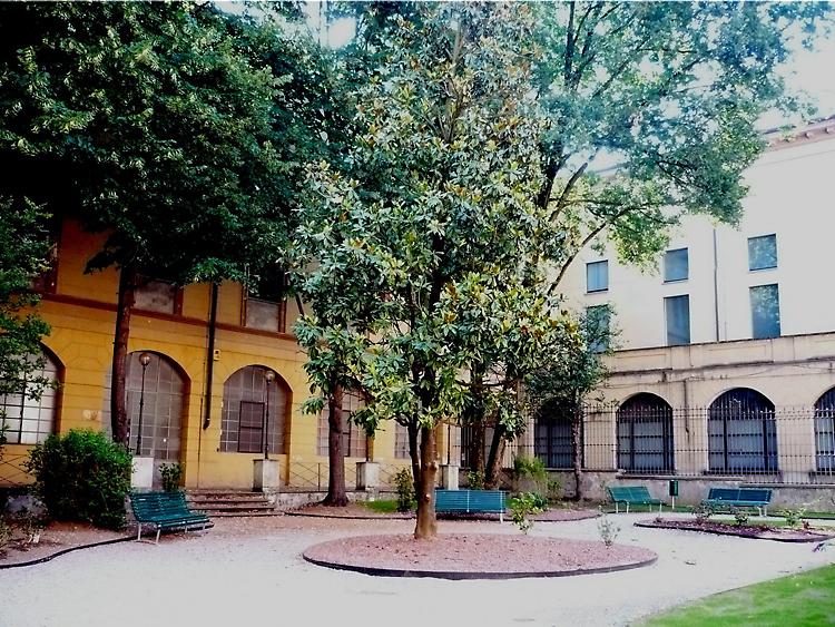 Posa di un ulivo in ricordo dei magistrati Falcone e  Borsellino
