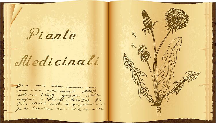 Convegno: Herba mirabilis - Conversazioni sulla flora locale