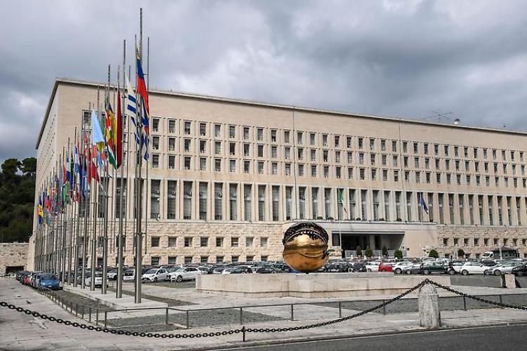 Cade nel vano di un ascensore della Farnesina, morto un operaio