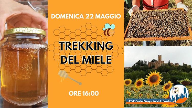 Trekking del miele - Escursione guidata con visita ad apicoltura