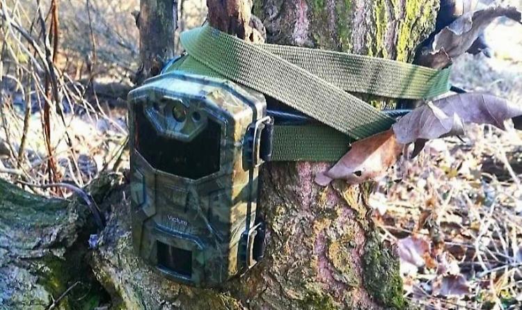 Furto di fototrappole, c'è lo spettro dei bracconieri