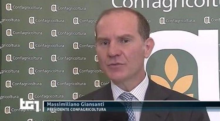 Allarme siccità: il presidente di Confagricoltura Giansanti al TG1