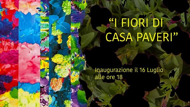 I fiori di casa Paveri. Esposizione  digitale di Luigi Cazzaniga