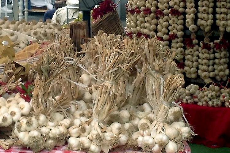 47^ Fiera dell'Aglio di Monticelli d'Ongina