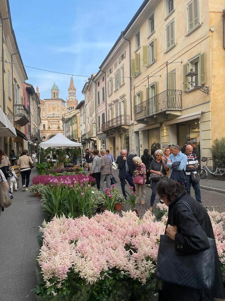 Crema Fiori e Sapori