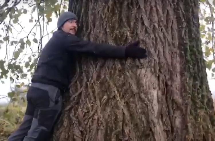 Appello verde: «Abbracciamo nonno pioppo»