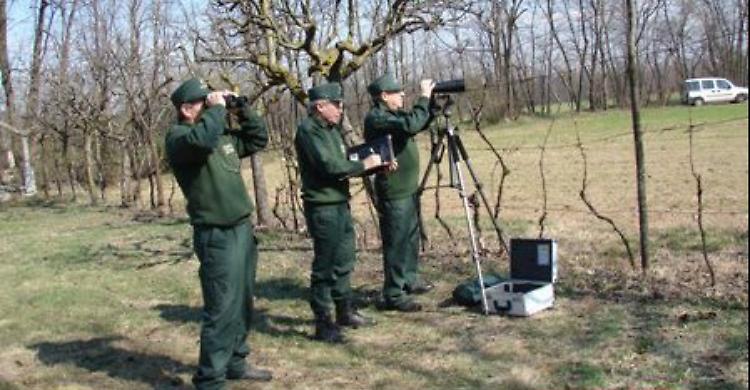 Lupi in provincia: le Gev in prima linea